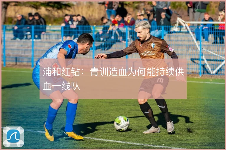 浦和红钻：青训造血为何能持续供血一线队